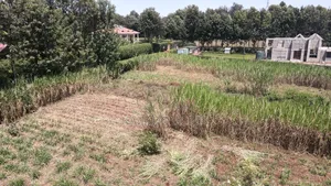 1.2 Acres Rhino Park at 78m