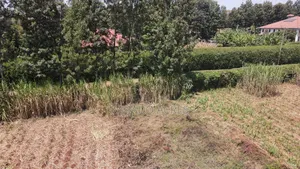 1.2 Acres Rhino Park at 78m
