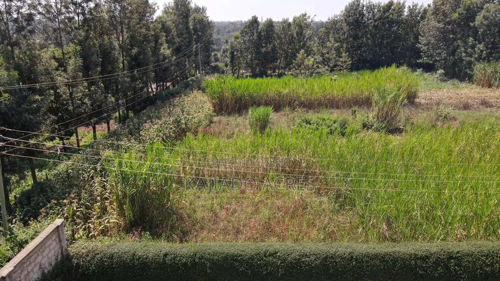 1.2 Acres Rhino Park at 78m