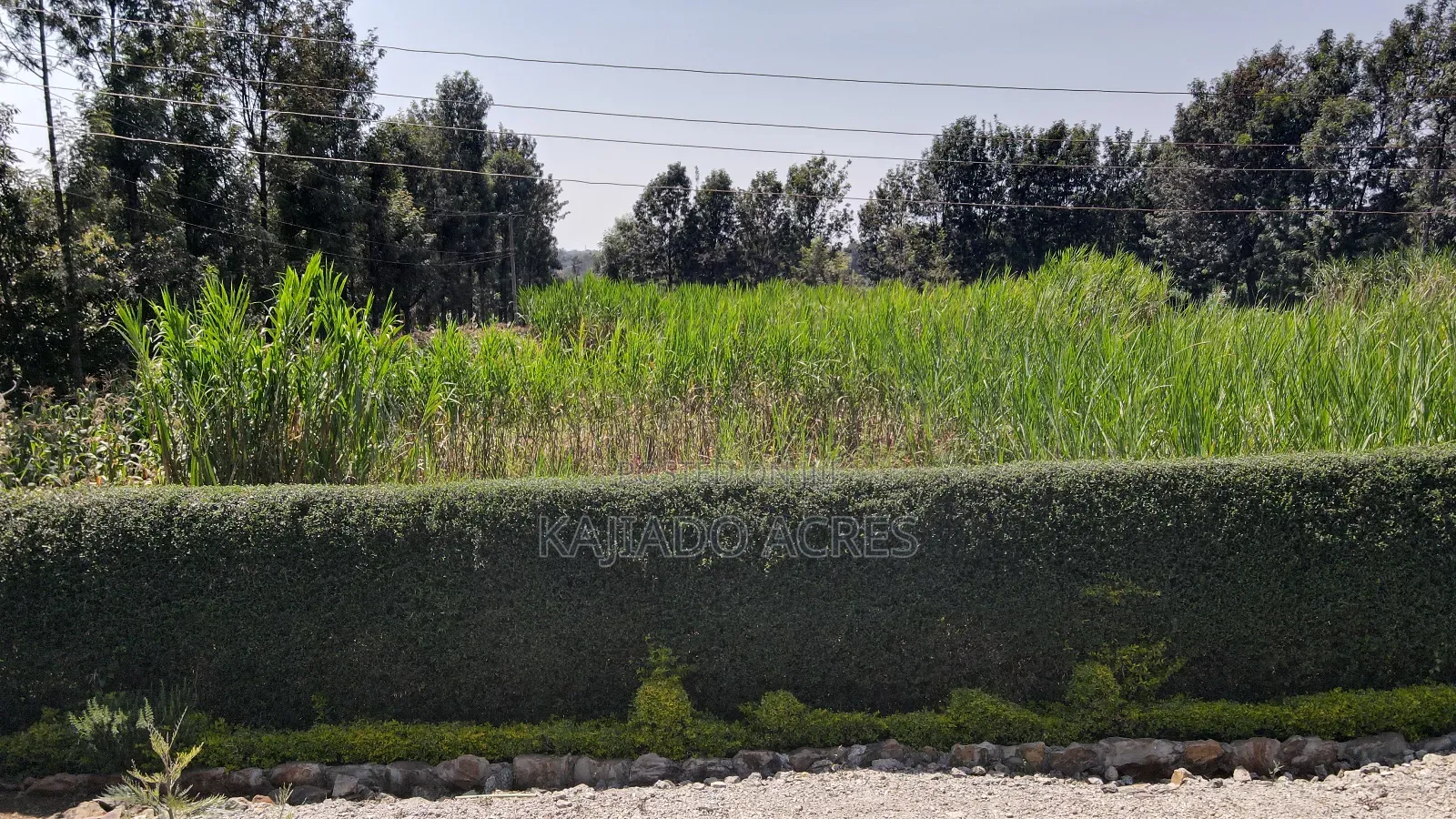 1.2 Acres Rhino Park at 78m