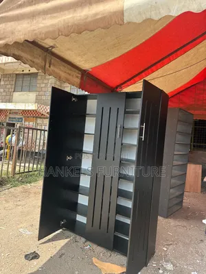 Modern Black 2 Door Shoe Rack
