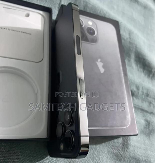 Apple iPhone 13 Pro 256 GB Gray - thumbnail 2