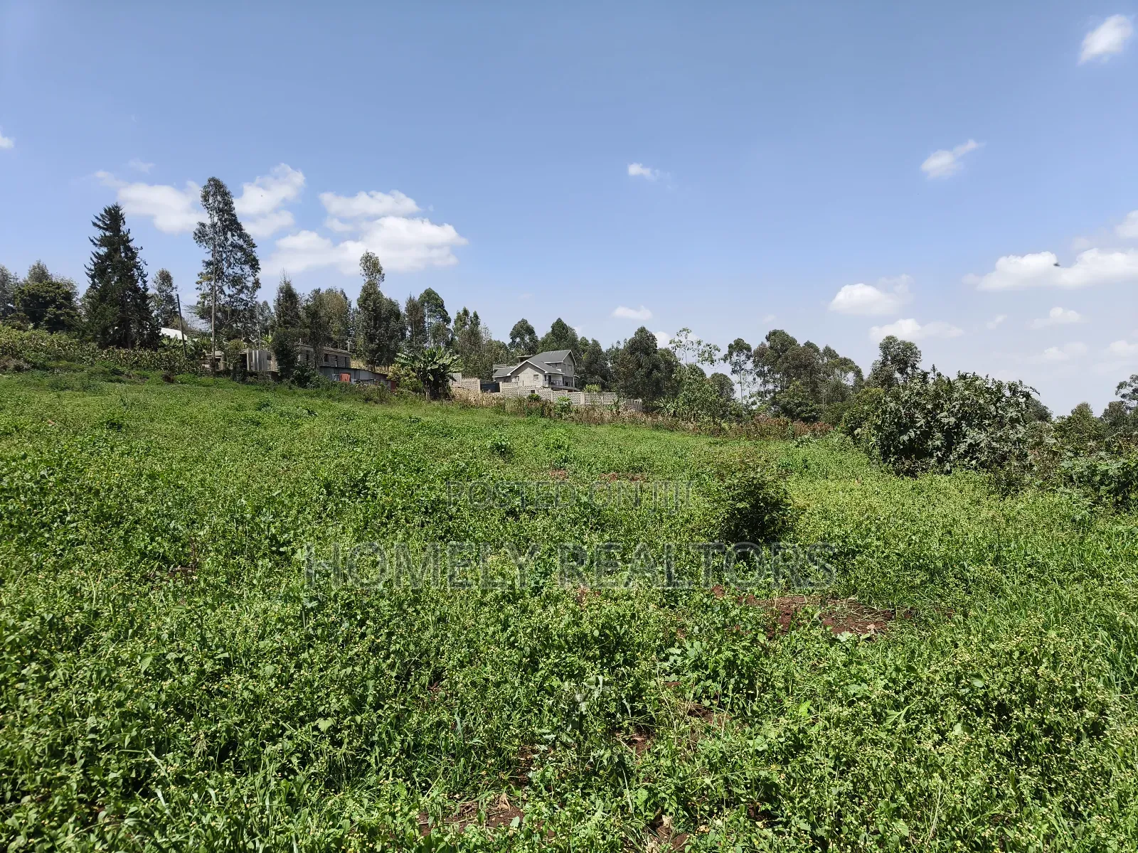3 Acres of Land for Sale in Ngong, Kahara Road Plus Farm Buildings