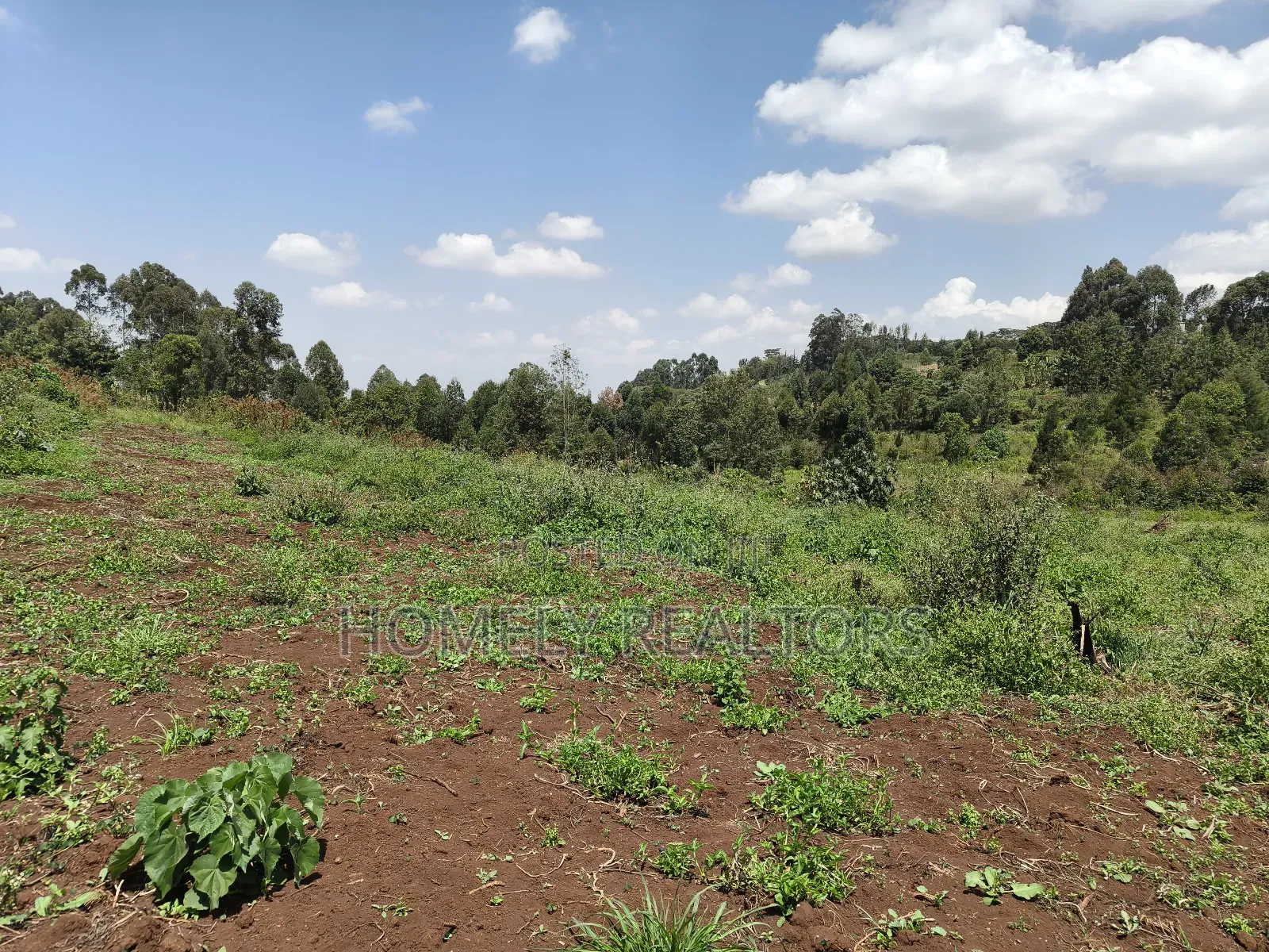 3 Acres of Land for Sale in Ngong, Kahara Road Plus Farm Buildings