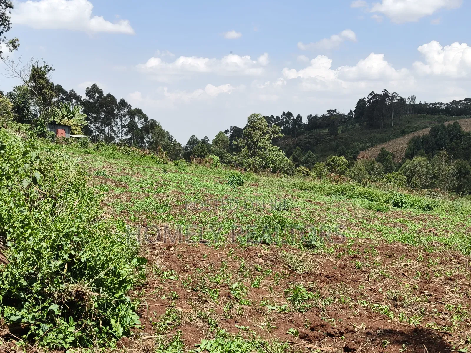 3 Acres of Land for Sale in Ngong, Kahara Road Plus Farm Buildings