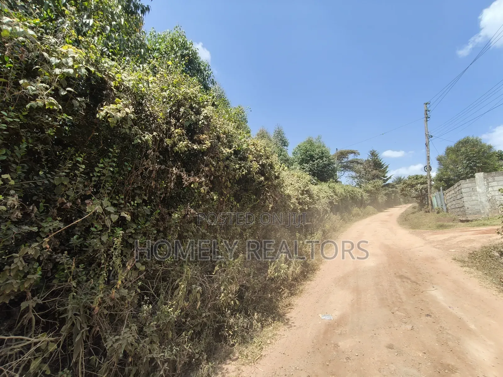 2.3 Acres of Land on Sale in Ngong Kahara. Has Trees Touches Main Road