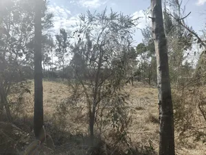 One Acre Piece of Land for Sale in Karen, Nairobi. Very Accessible