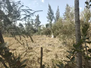 One Acre Piece of Land for Sale in Karen, Nairobi. Very Accessible