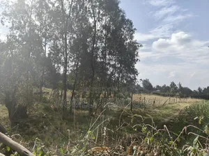 One Acre Piece of Land for Sale in Karen, Nairobi