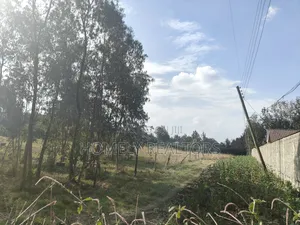 One Acre Piece of Land for Sale in Karen, Nairobi
