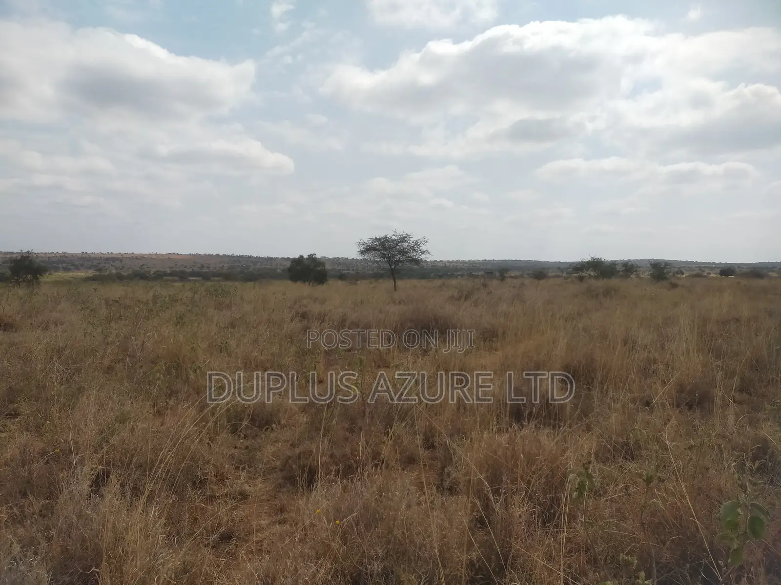 13-Acres Next to a Commercial Farm in Kajiado~Mashuru