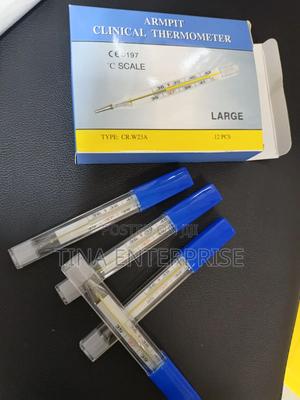 Clinical Mercury Thermometer - main view