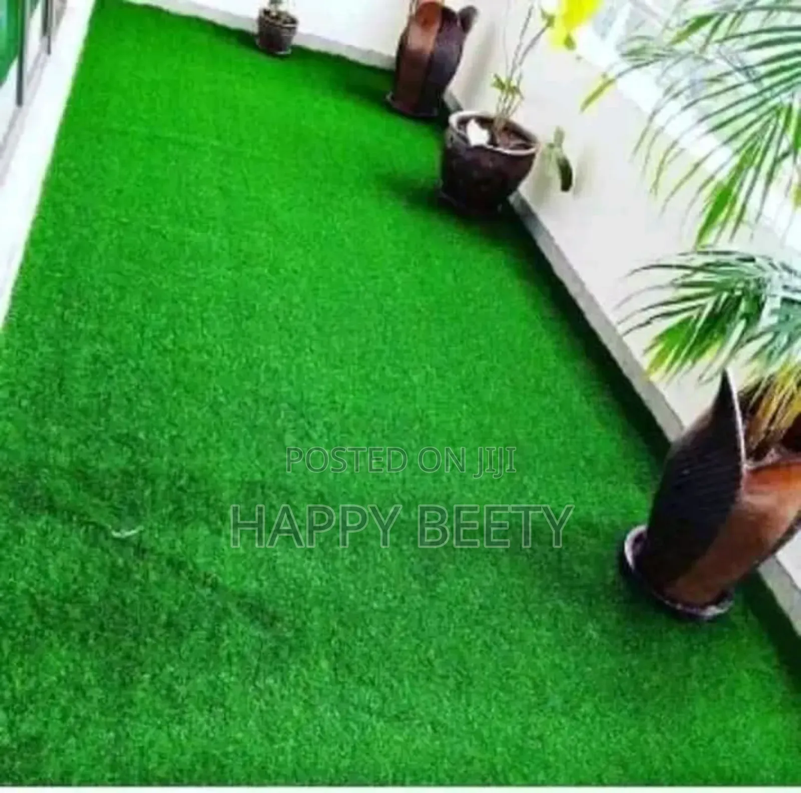 Revamp Your Balcony With Our Longlasting Beautiful Green Grass