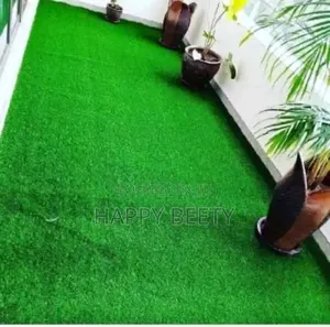 Revamp Your Balcony With Our Longlasting Beautiful Green Grass