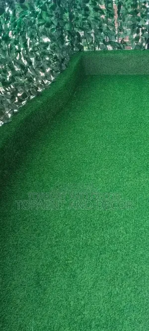 Low Maintenance Green Carpet For Outdoor Spaces