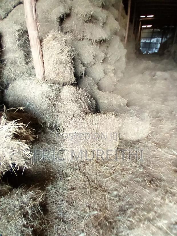 Boma Rhode Animal Feed - main view