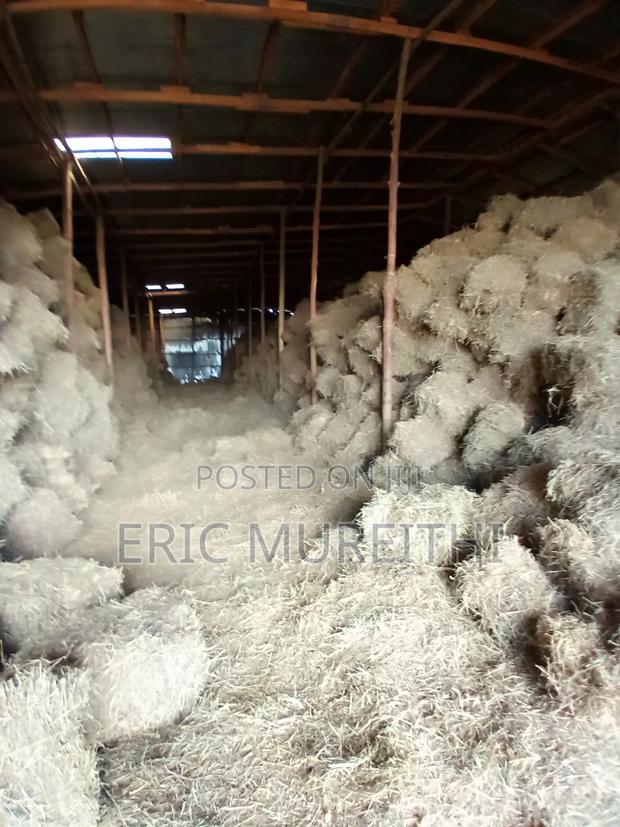 Boma Rhode Animal Feed - thumbnail 2