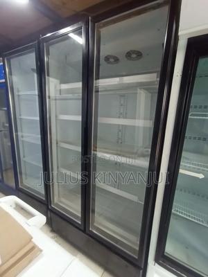 Double Door Showcasing Chiller - main view