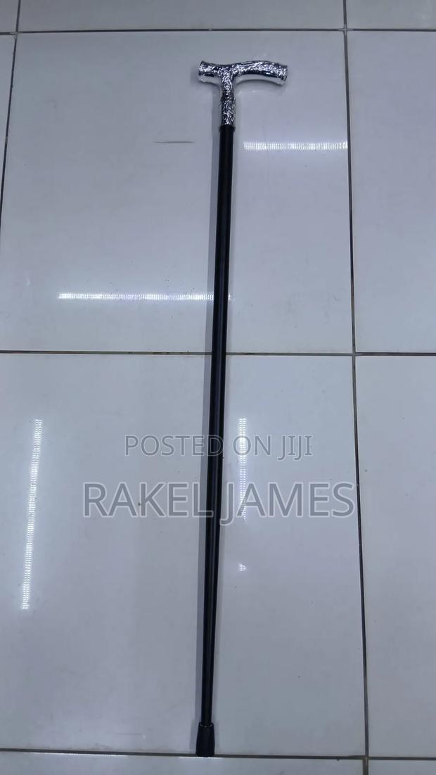 Silver T-Handle Walking Stick - main view