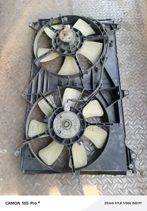 Honda Stream Radiator Fun