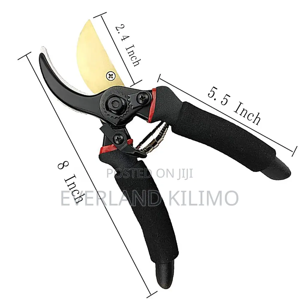 Modern Secateurs