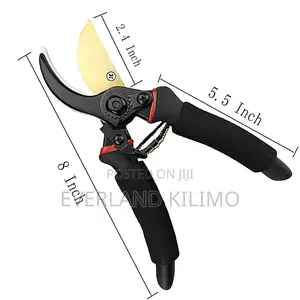 Modern Secateurs