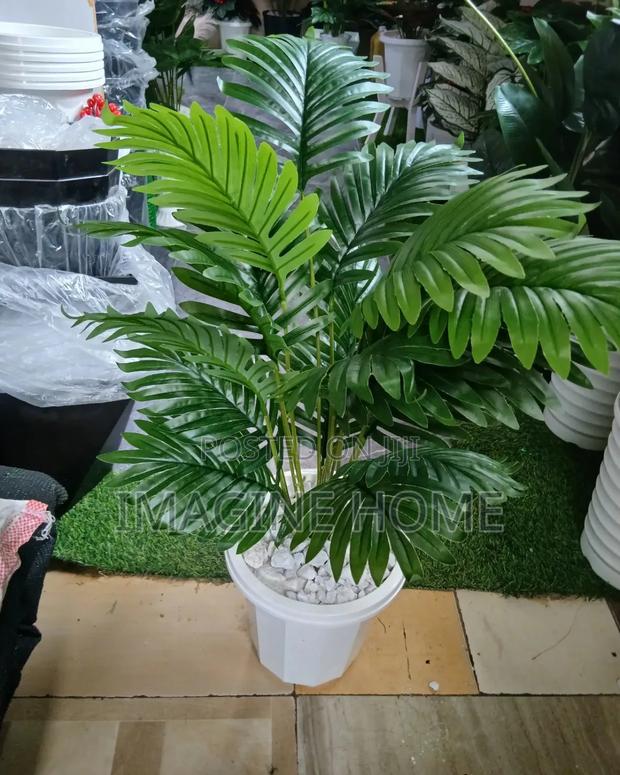 High Quality Artificial Plants for Indoors - main view