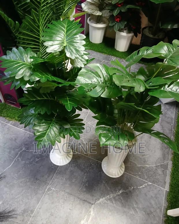 Artificial Plants Bring Greenery - main view