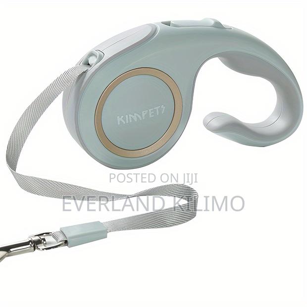 Modern Retractable Dog Leash - main view