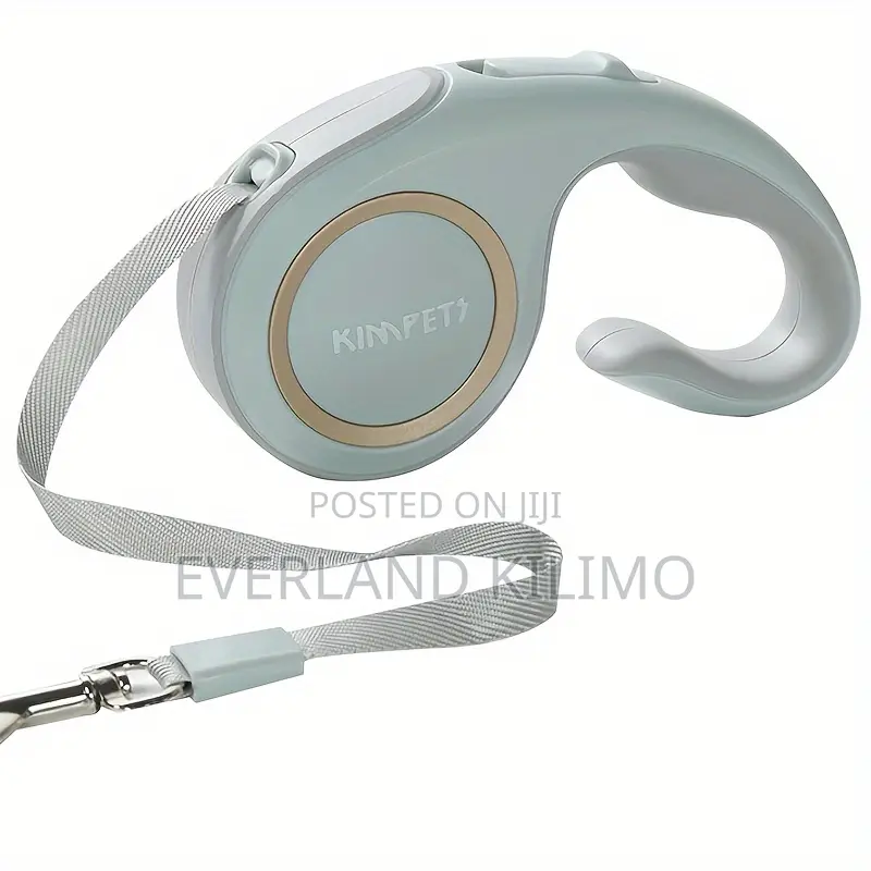 Modern Retractable Dog Leash