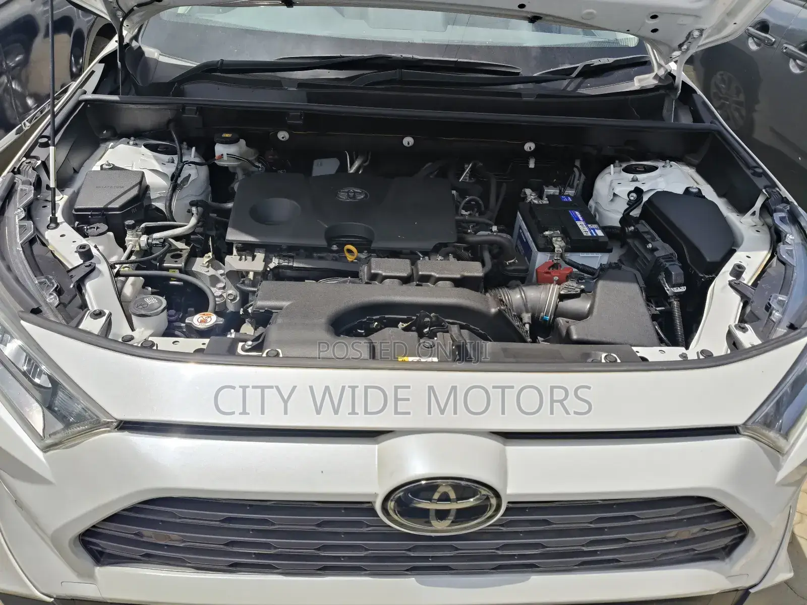 Toyota RAV4 Adventure 2019 White