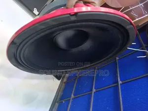 Derwel 15dl222 15inch Mid Range Speaker