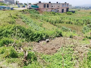 3 50*100 Plot for Sale in Kiamunyi