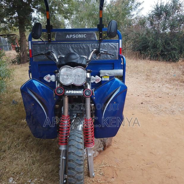 New Apsonic AP200ZH-VIP 2024 Red - thumbnail 3