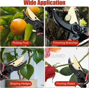 Strong Secateurs