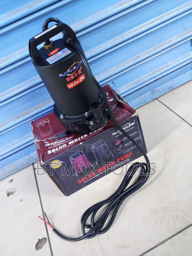 24v Rutan Battery Pump - thumbnail 2