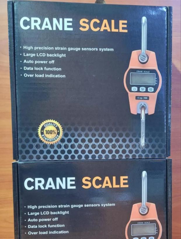Original Crane /Spring Weighing Scale 300kgs