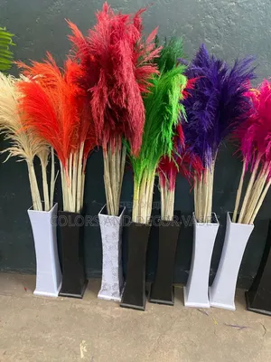 Variety of Grass With Wooden Vases