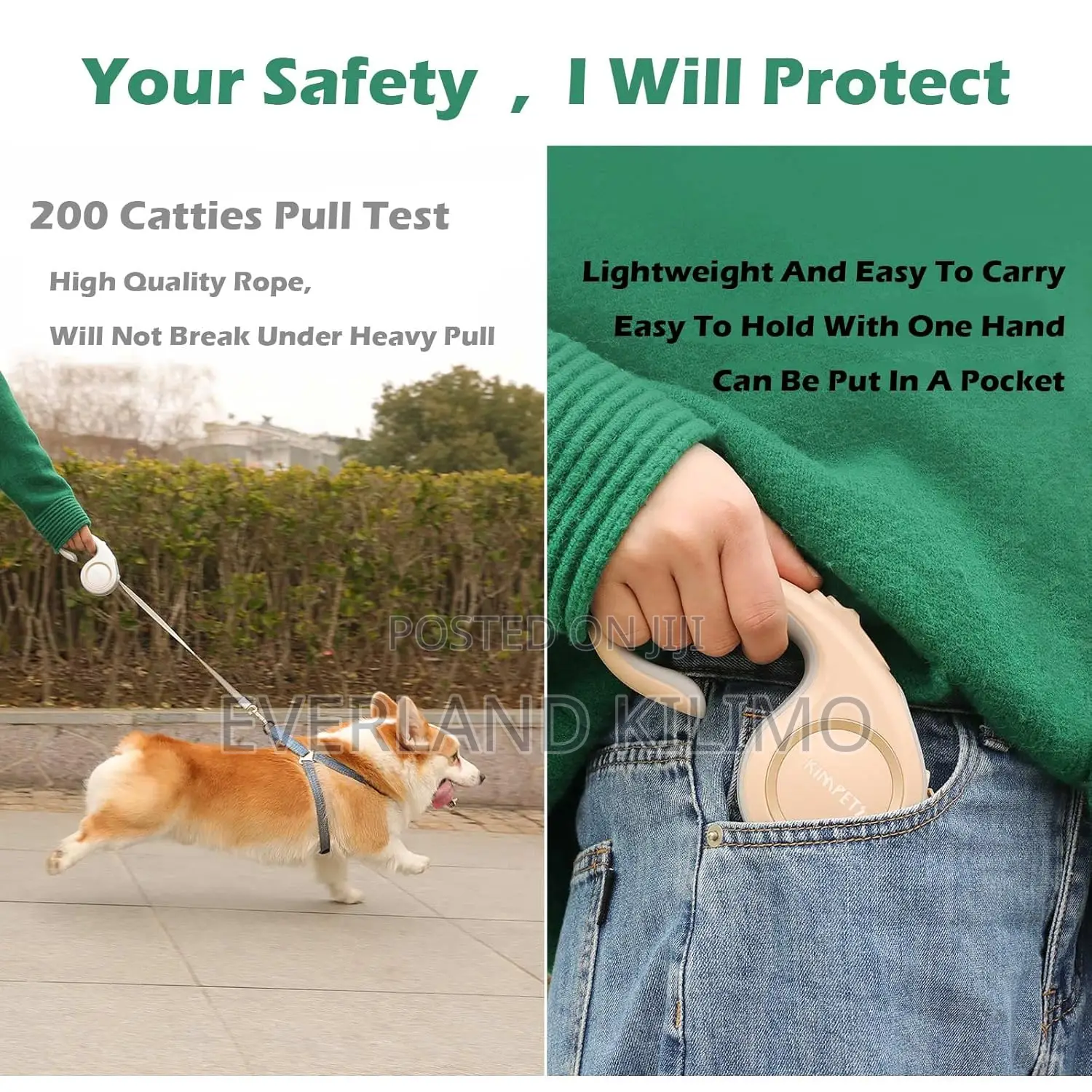 Leash - Stylish Retractable