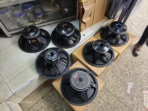 Midrange Naked Speaker 15 Inches