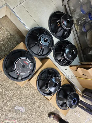 Midrange Naked Speaker 15 Inches