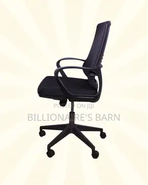 Supportive Black Ergonomic Mesh Office Chair | Nylon Castors