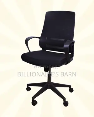Supportive Black Ergonomic Mesh Office Chair | Nylon Castors