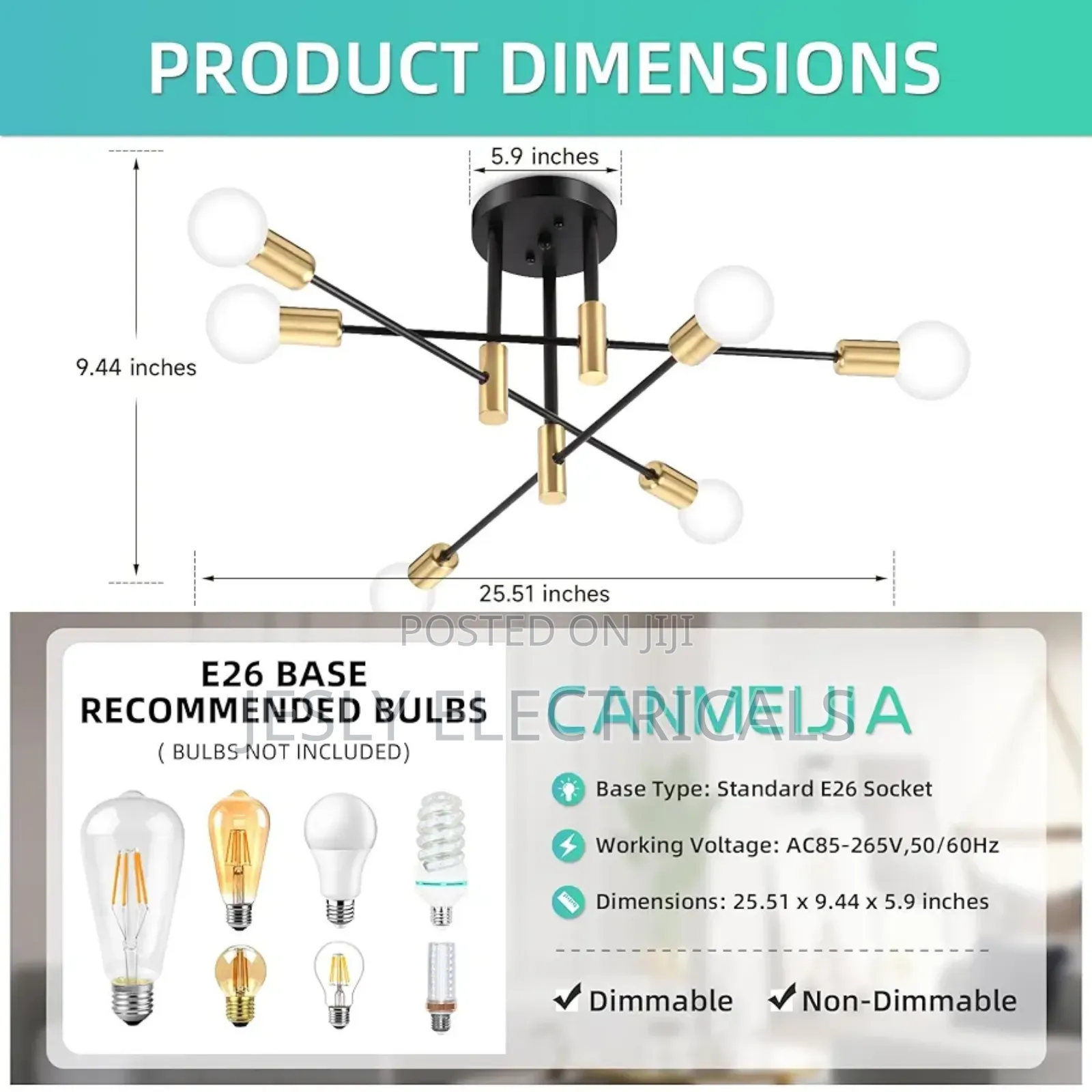 Chandelier Fest Ceiling Light
