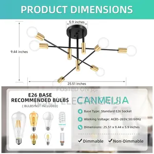 Chandelier Fest Ceiling Light