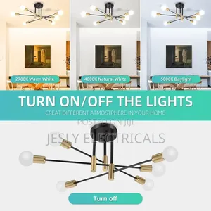 Chandelier Fest Ceiling Light