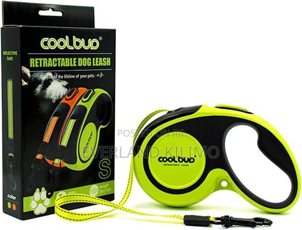 Strong Reflective Nylon Leash - main view