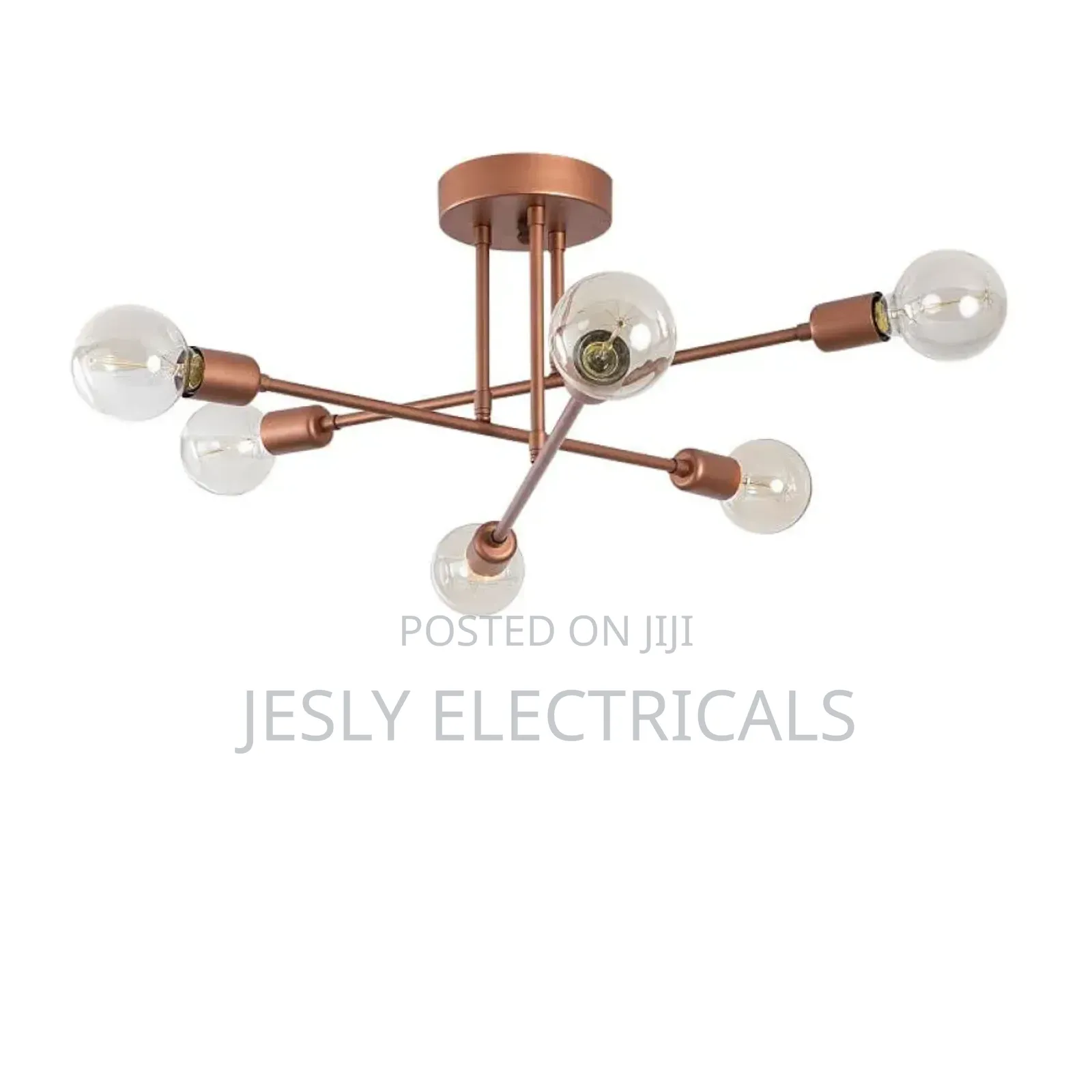 Ceiling Lamp "Makurdi" [Opv-521shn1131] | Greenice