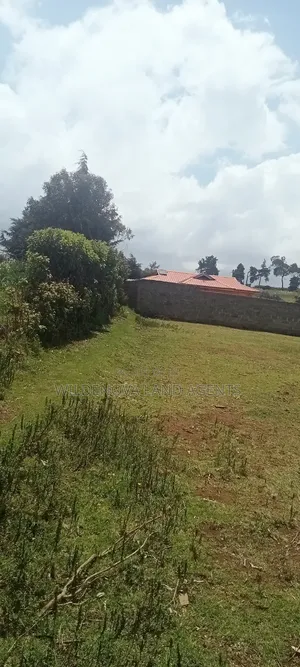 Plot on Sale at Flyover Kinangop