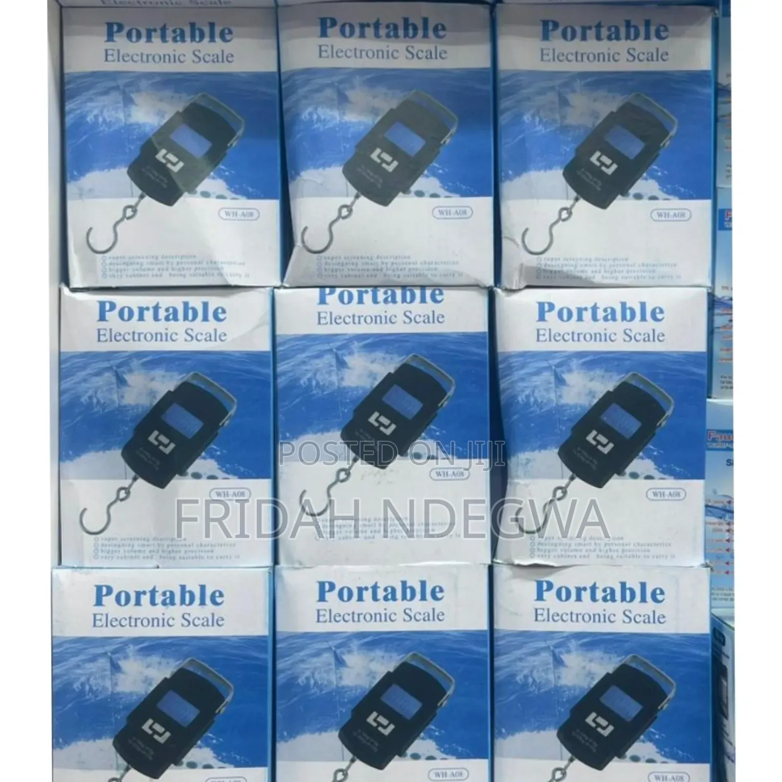 Portable 50kg Scale